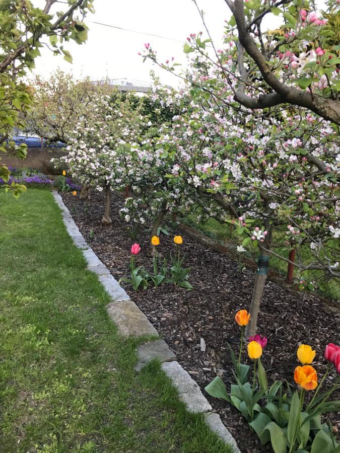 Garden Appartement